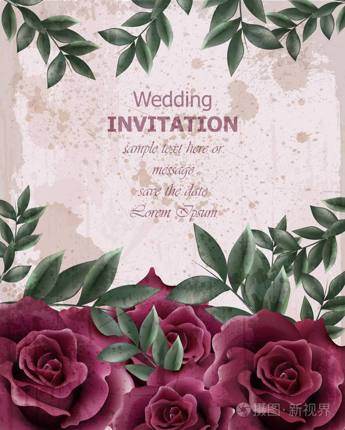 美丽的玫瑰花装饰.典雅的装饰复古背景