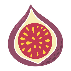 在白色背景上的卡通无花果片.无花果切片图标的颜色.矢量插图照片