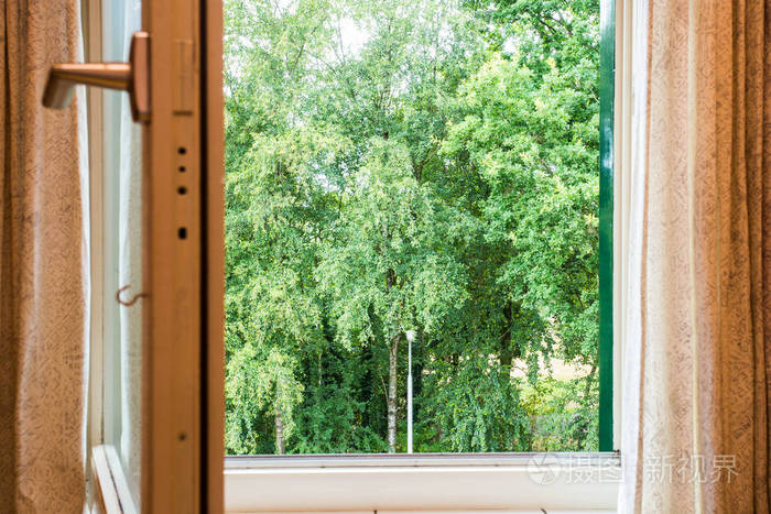 用绿树的窗户看自然景观