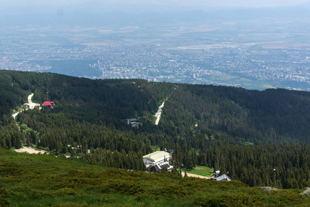 位于保加利亚索非亚 Vitosha 山的绿色丘陵全景