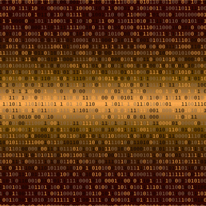 二进制代码。互联网安全概念
