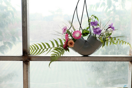 休闲活动用废料回收, 使花瓶装饰家居, 彩色雏菊在水管上白色背景