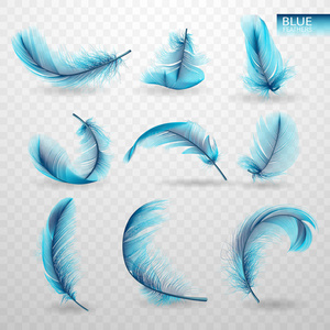一套孤立的下降蓝色蓬松的旋转羽毛在透明的背景下, 逼真的风格。矢量插图