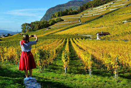 瑞士秋季葡萄园全景在 Lavaux 地区由秋天天, 沃州