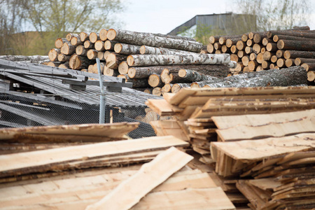木工厂。木工厂。原木和木板堆积在堆中。木材生产