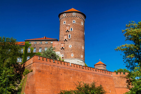 在克拉科夫，波兰的瓦维尔城堡