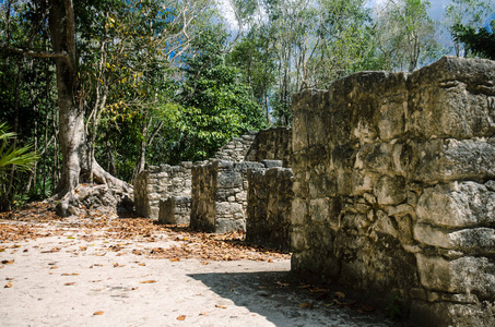 墨西哥 Coba 古玛雅古建筑