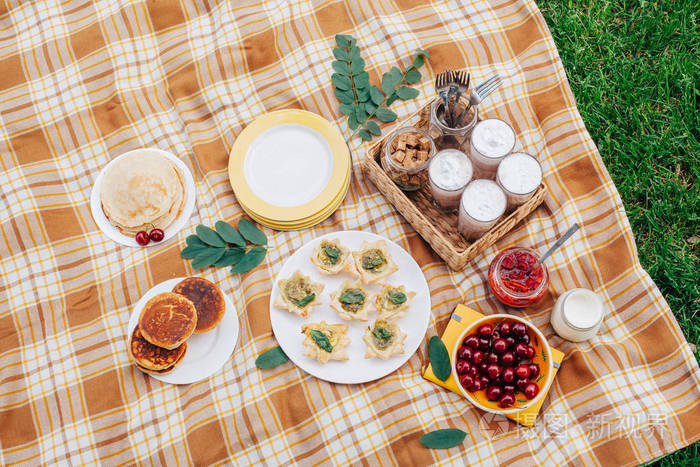 度假时在草地上野餐.晚餐时间.不同的食品.美味的开胃食品.