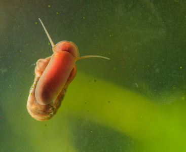 房子水族馆图片