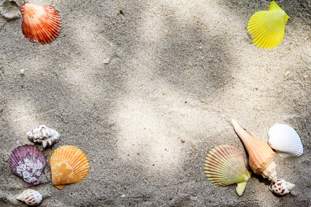 沙滩沙与贝壳和阳光的顶级景观, 夏季背景概念
