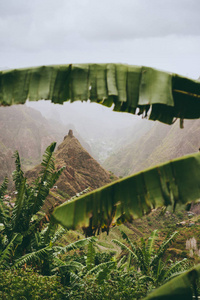 在山谷的香蕉叶子的框架下, xoxo 山谷的山峰是可见的。Antao 岛上最好的徒步旅行路线之一, 佛得角。多云天气