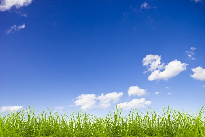 绿草在蓝蓝的天空背景