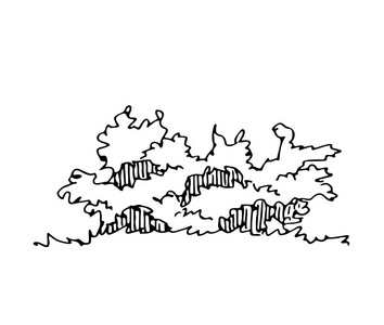 手绘建筑师灌木, 矢量素描, 建筑插图照片