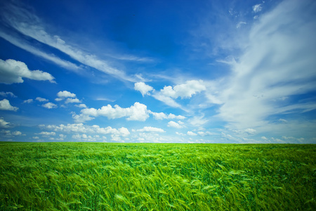 绿色的原野和蓝蓝的天空