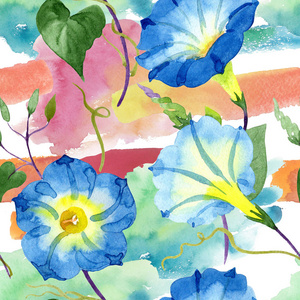 蕹蓝色。花卉植物花。无缝的背景图案。织物墙纸打印纹理..。背景质地包装图案框架或边框的水彩画野花