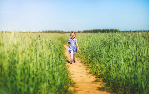 穿着裙子的小女孩在阳光明媚的日子里穿过田野