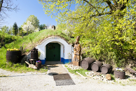 葡萄酒酒窖，彼得罗夫plze 捷克共和国