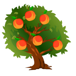 矢量设计, 背景, 符号, 抽象, 图标桃树甜桃子果实在桃树树枝上成熟在