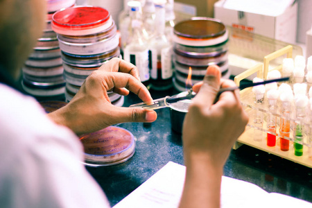 细菌接种在试管琼脂培养基上使用接种环由科学家实验室技术员在微生物
