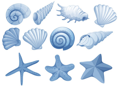 一组蓝色贝壳插图