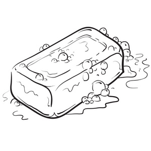 肥皂草绘的栏照片