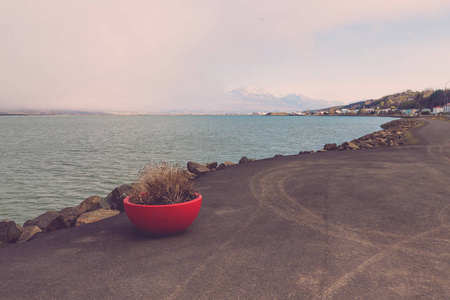 冰岛阿库雷里市的海水泻湖景观。色调