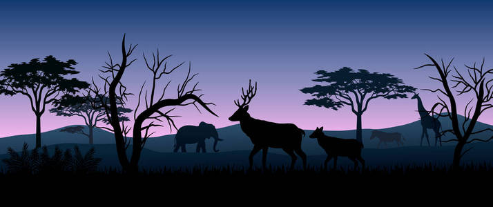 夜间草原上的剪影动物插图