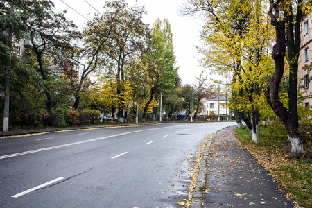 城市街道的路