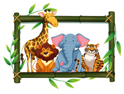 竹框架插图野生动物园