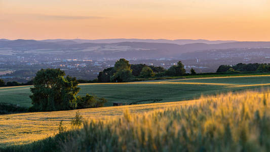 德国西部美丽的日落全景, 小麦的田野, 在远处一个小城市