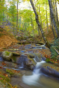 秋天的山中的小河