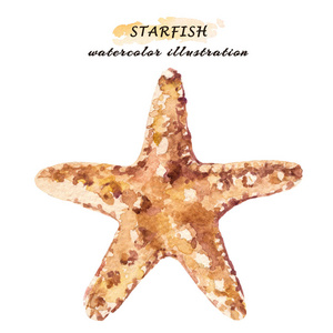水彩海星元素图片