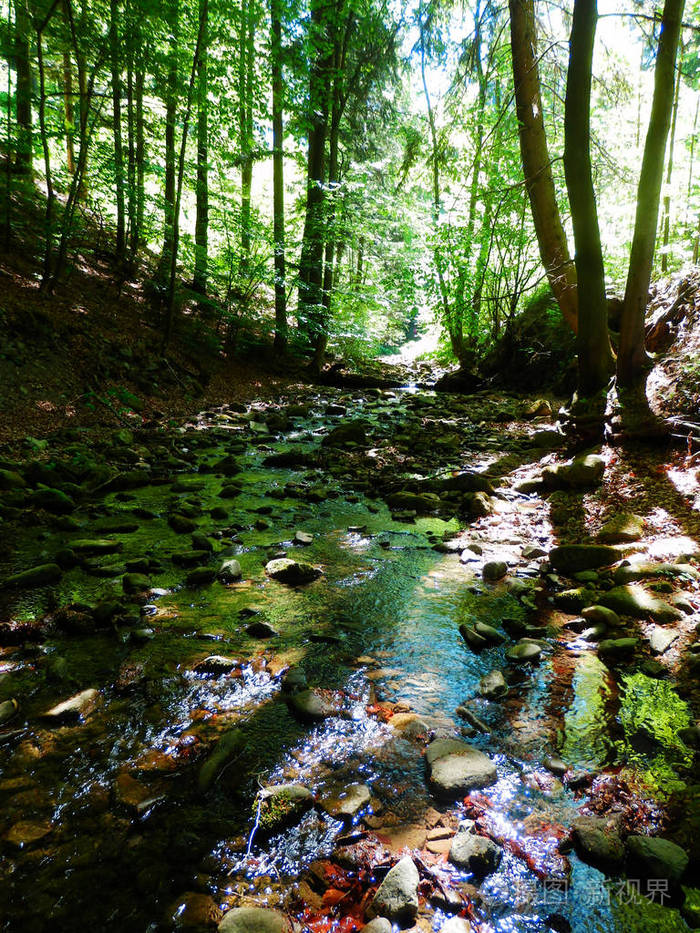 美丽的春天山小河的颜色细节摄影在山毛榉森林里