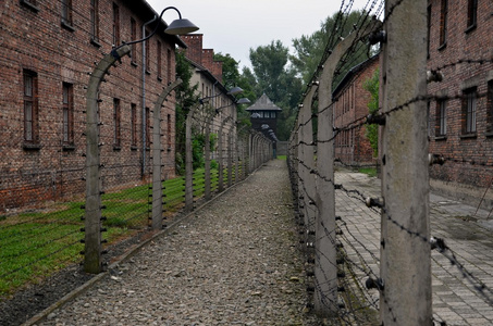 纳粹德军在波兰纳粹集中营中的照片详细信息照片