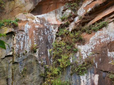 亚利桑那州塞多纳以北橡树溪峡谷西叉上的一条峭壁上的彩色红色岩石的自然摘要