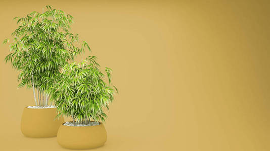 空黄色内装竹盆景, 自然室内设计理念, 绿色创意与复制空间