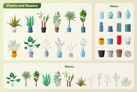 集植物和花卉。卡通矢量插画。绿色家园