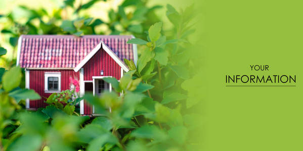 小房子太阳叶子植物绿色自然样式
