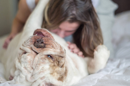 美丽的女人在床上玩英语斗牛犬英国狗