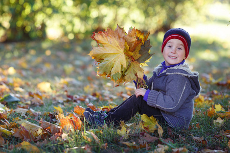 可爱的男孩坐在公园与一束秋天叶子在他们的手
