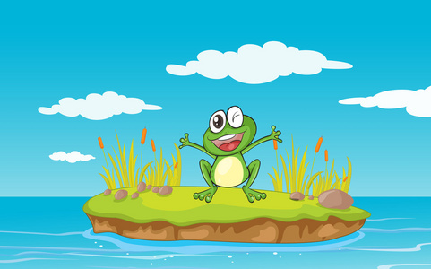 一只青蛙和水