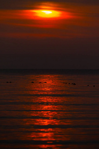 太阳在海, 日落, 风景