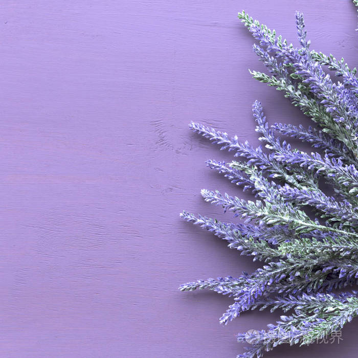 紫色木质背景的薰衣草花照片 正版商用图片05fz3x 摄图新视界