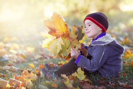 微笑的男孩坐在公园与一束秋天叶子在阳光下
