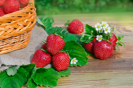 草莓在质朴的木质背景。小篮子里装满了草莓。文本空间