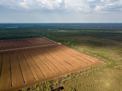 无人机图像。拉脱维亚沼泽栽培草皮的鸟瞰图