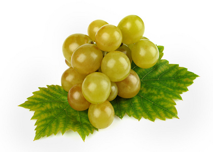 绿色成熟的葡萄