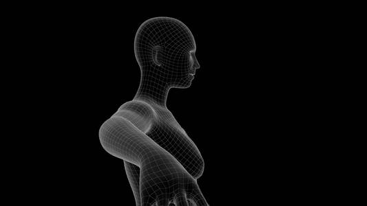 3d. 女性 x 射线全息图的图解