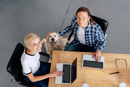 在工作场所使用膝上型电脑和抚摸狗的微笑年轻同事的高角度视图