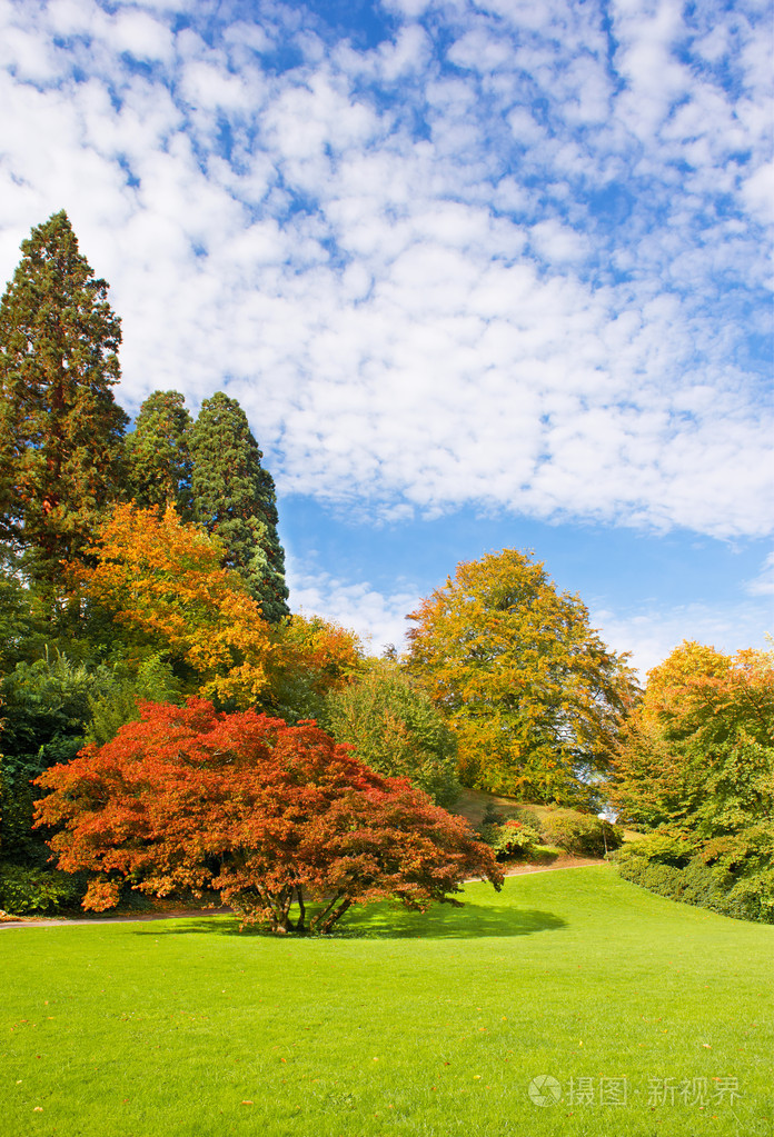 在秋天美丽的公园.公共花园